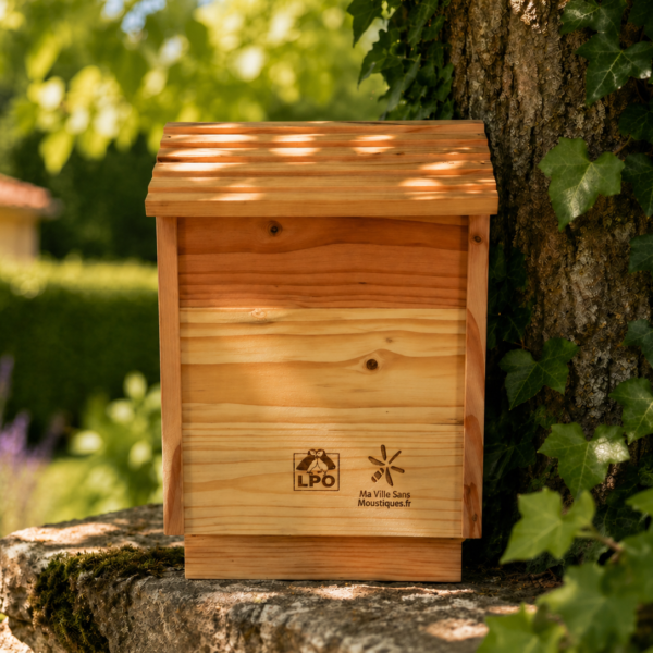 L'abris à chauves-souris