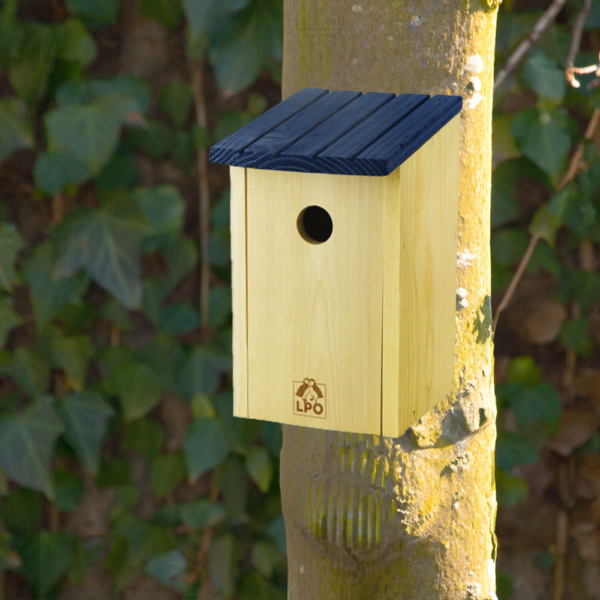 Le nichoir à mésanges